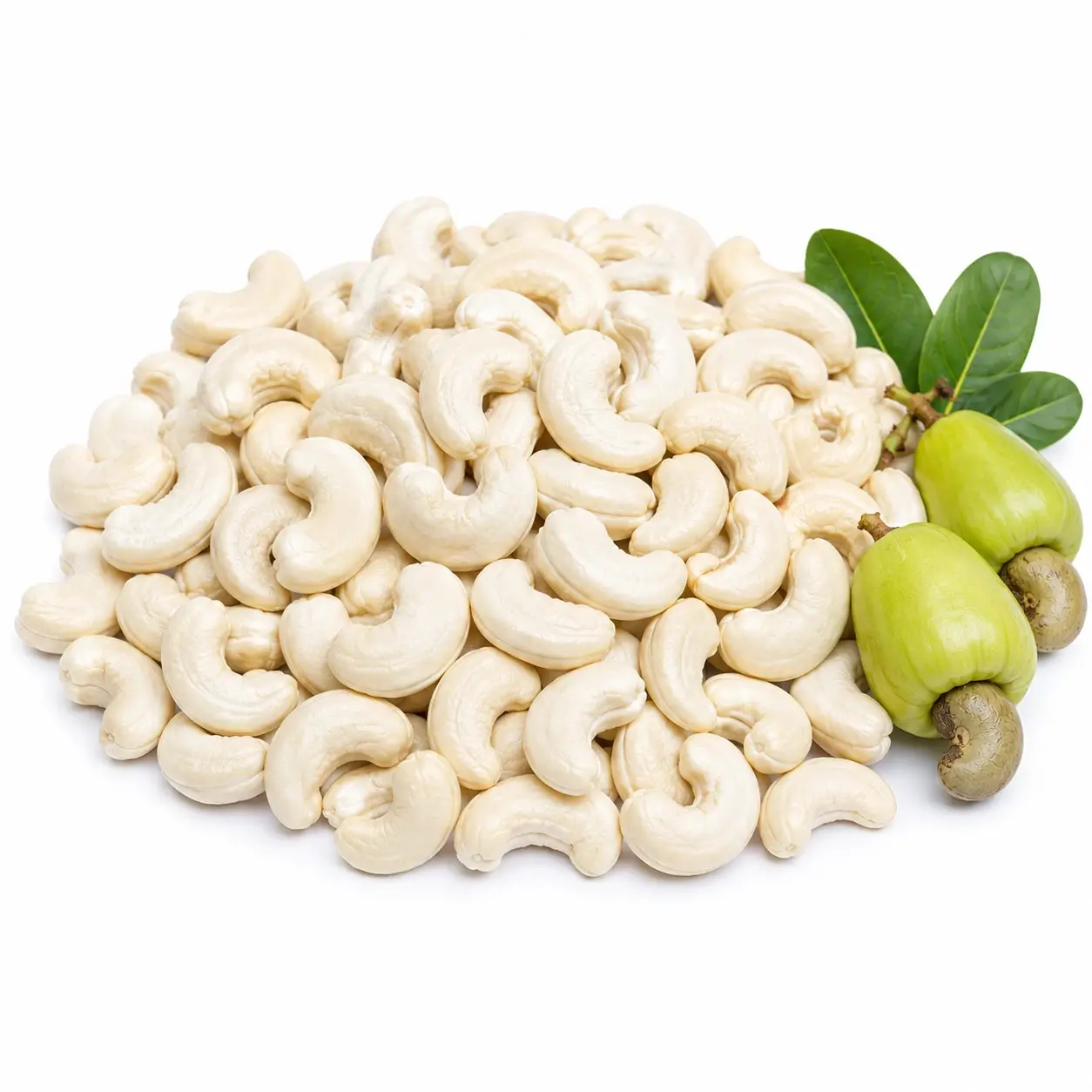 কাজুবাদাম | Kaju Badam | Cashew Nut